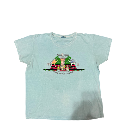 “ Amerikan Hysteria” Tee